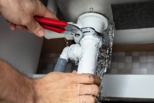 Best Professional water damage repair  in Hemphill, TX