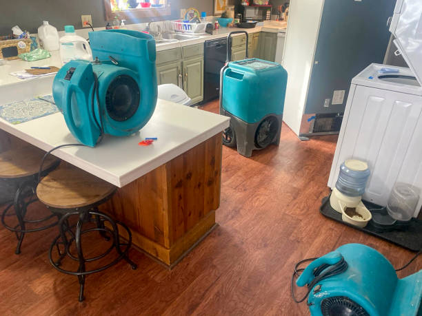 Best Water damage restoration specialists  in Hemphill, TX