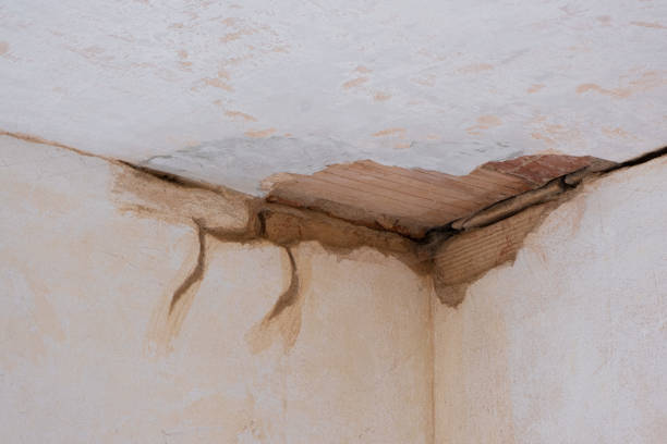 Best Water damage cleanup near me  in Hemphill, TX