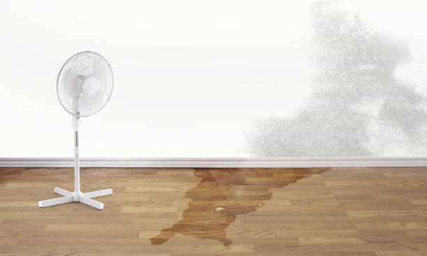 Best Water damage repair service  in Hemphill, TX