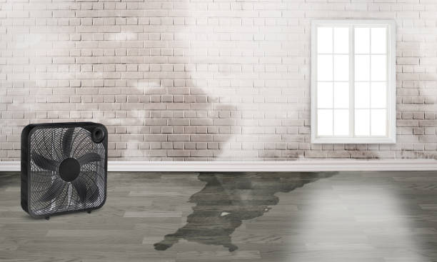 Best Fire Damage Restoration  in Hemphill, TX
