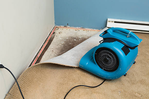 Best Fire Damage Restoration  in Hemphill, TX